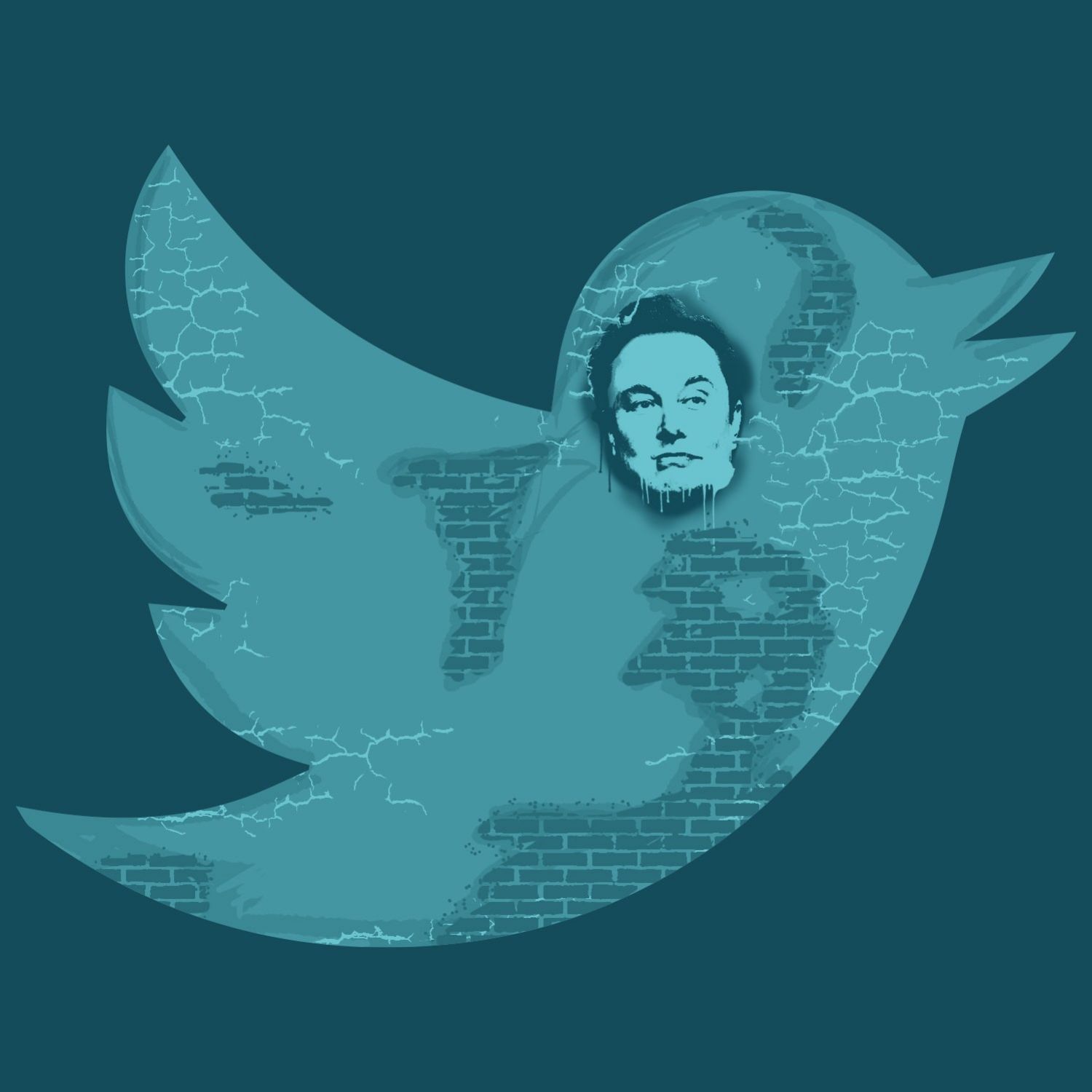 Twitter et autres réseaux sociaux - plumes libres